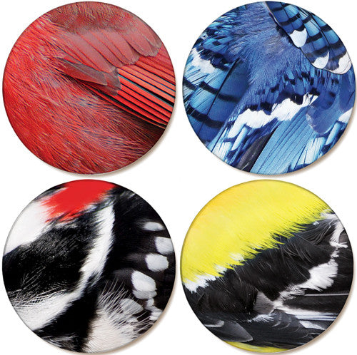 Bird Feather Sandstone Ceramic Coaster Collection (set of 5)