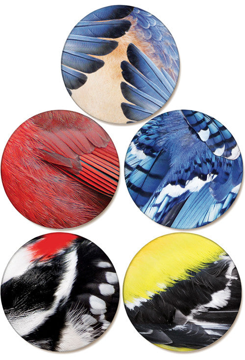 Bird Feather Collection | Sandstone Ceramic Coasters | 4pack