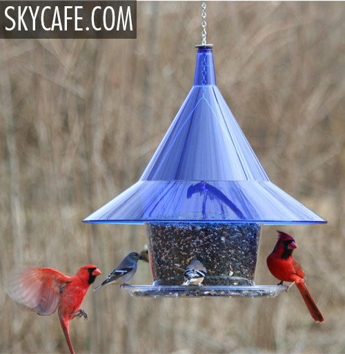 Sapphire Blue SkyCafe Bird Feeder