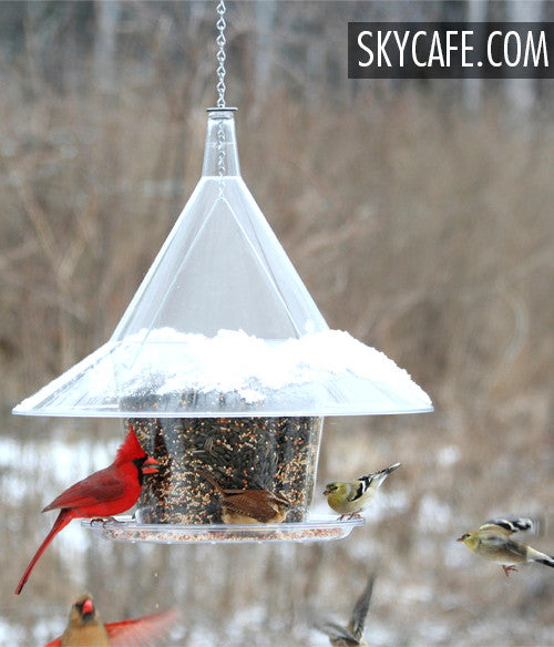 SkyCafe Bird Feeder - Hanging
American Made Bird Feeder