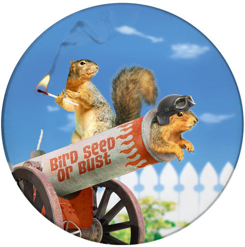 Bird Seed of Bust Sandstone Ceramic Coaster | Cannon Squirrel | Front