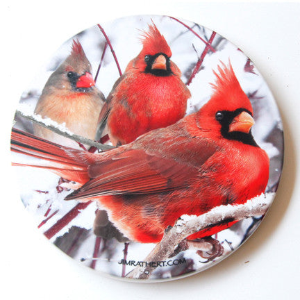 Winter Cardinals Coaster | Sandstone Coasters | Jim Rathert Photography | Front View