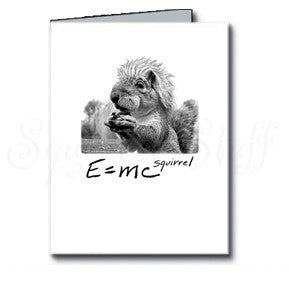 E=mc Squirrel Birthday Card