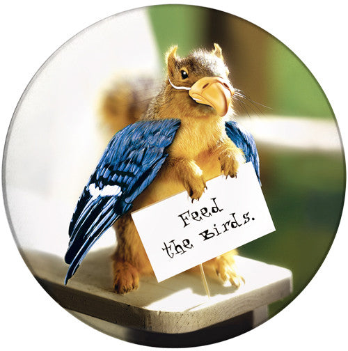 Feed the Birds SandstoneCeramic Coaster | Front