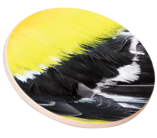 Goldfinch Feather Sandstone Ceramic Coaster | side view