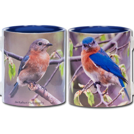 Bluebird Mug Male Female | Jim Rathert Photography