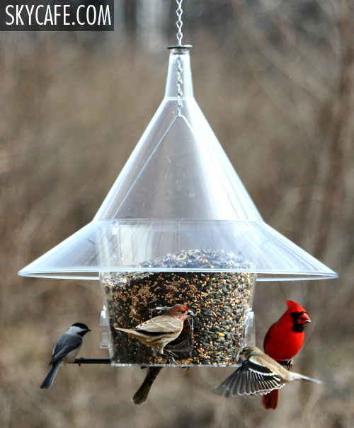 The BEST Cardinal Squirrel Proof Mandarin Birder Feeder
American Made Bird Feeder