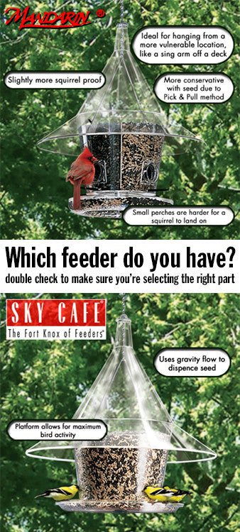 Mandrin or Skycafe?