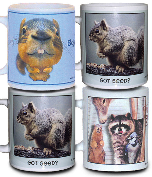 Funny Squirrel Mugs - Set of 4