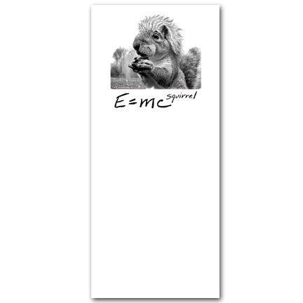 E=mc Squirrel Notepad