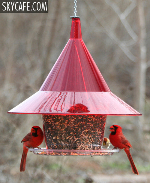 Ruby Red SkyCafe Bird Feeder