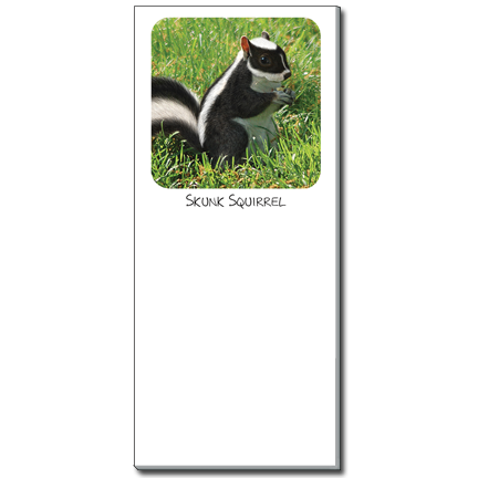 Skunk Squirrel Notepad | Funny Squirrel Magnetic Shopping List