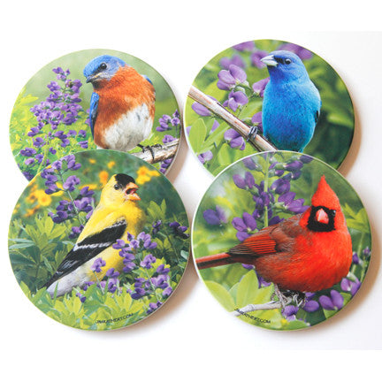 Summer Birds Sandstone Coaster Collection | Set of 4