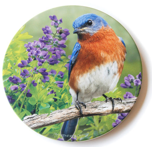 Summer Bluebird Sandstone Ceramic Coaster  | Front