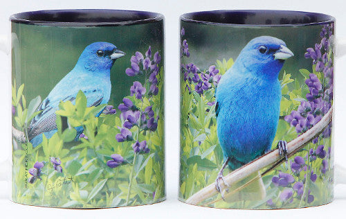 Summer Blue Bunting Mug | Jim Rathert Photography | Bird Mug