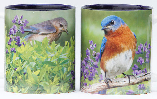 Summer Bluebird Mug | Jim Rathert Photography | Bird Mug