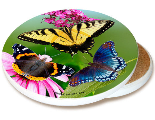 Variety Butterfly Cone Flower Sandstone Ceramic Coaster | Butterfly Coaster | Image shows front and cork back