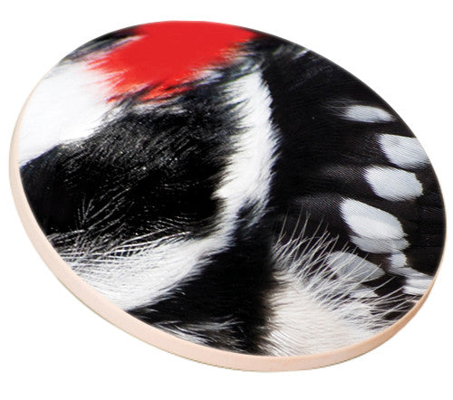 Woodpecker Feather Sandstone Ceramic Coaster | side view