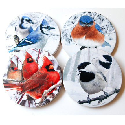 Winter Bird Sandstone Coaster Collection | Set of 4