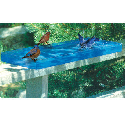 Blue Bird Bath