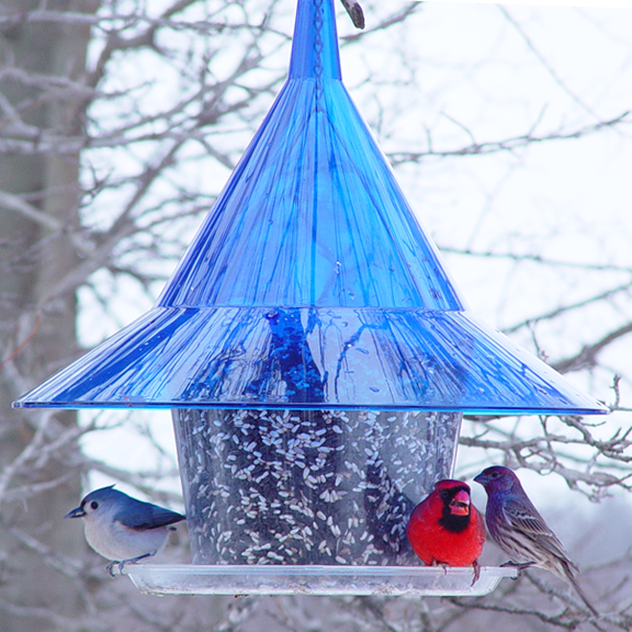 Sapphire Blue SkyCafe Bird Feeder
American Made Bird Feeder