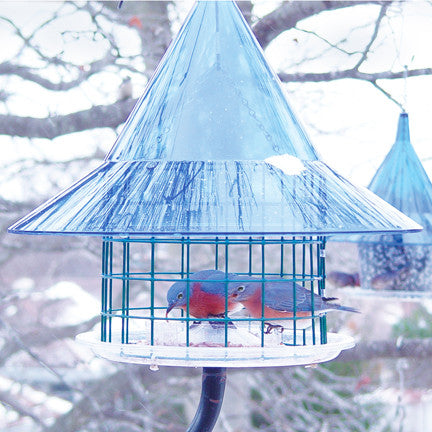 Bluebird Feeder | Sky Cafe Squirrel Proof Bird Feeder, American Made Bird Feeder