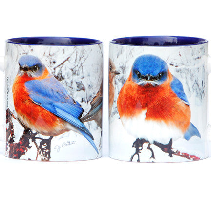 Winter Bluebird Mug | Jim Rathert Photography | Bird Mug