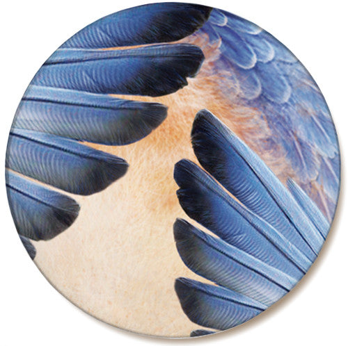 Bluebird Feather Sandstone Ceramic Coaster | Front