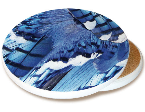 Blue Jay Feather Sandstone Ceramic Coaster | Image shows front and cork back