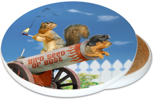 Bird Seed of Bust SandstoneCeramic Coaster | Cannon Squirrel | Image shows front and cork back