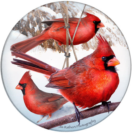 Cardinal Sandstone Ceramic Coaster  | Front