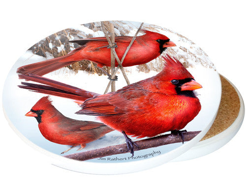 Cardinal Sandstone Ceramic Coaster | Image shows front and cork back