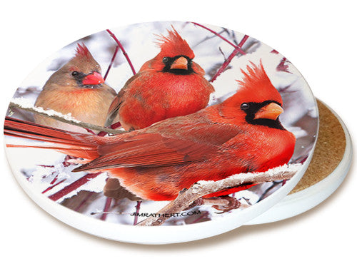 Winter Cardinal Sandstone Ceramic Coaster | Image shows front and cork back