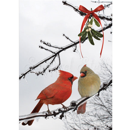 Cardinal Kiss Personalized Greeting Card