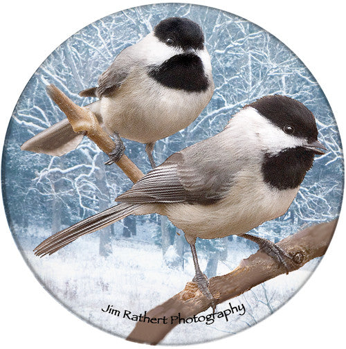 Chickadee Sandstone Ceramic Coaster | Image shows front and cork back