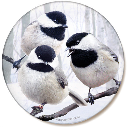 Winter Chickadee Sandstone Ceramic Coaster | Front