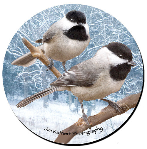 Chickadee Sandstone Ceramic Coaster | Front