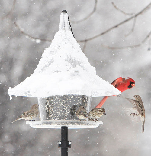 Pole System | Bird Feeder Metal Pole Stand | Pole Mount Sky Cafe Bird Feeder
Mounted Sky Cafe Bird Feeder (feeder sold separately) https://squirrelstuff.com/skycafe-feeders/