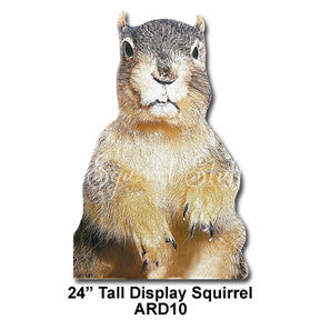 Squirrel Display cutout