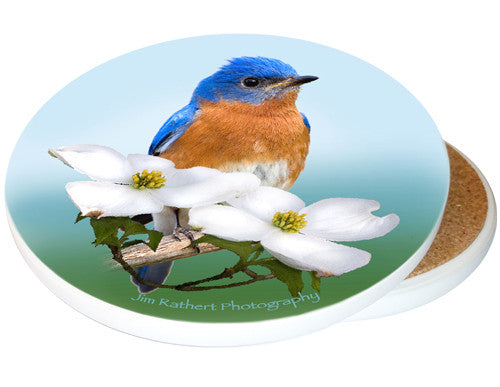 Eastern Bluebird Sandstone Ceramic Coaster | Image shows front and cork back