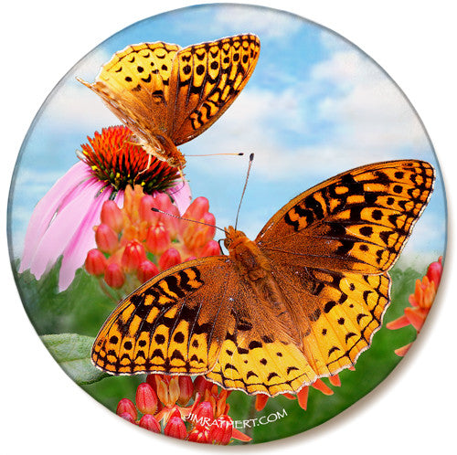 Fritillary Butterfly Sandstone Ceramic Coaster | Butterfly Coaster | Front