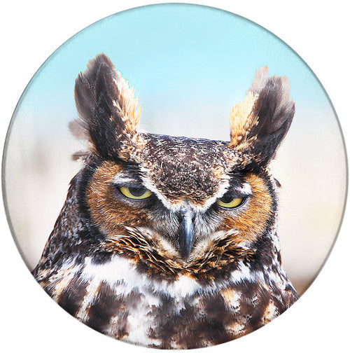 Great Horned Owl Sandstone Ceramic Coaster | Front