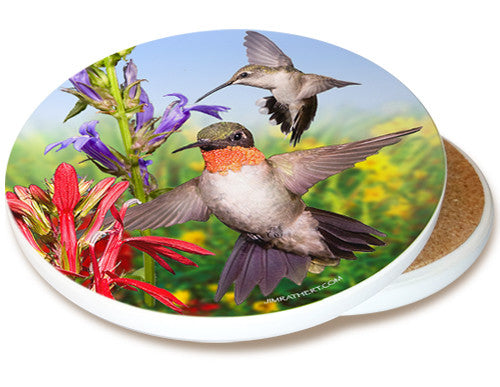 Hummingbird Sandstone Ceramic Coaster | Bird Coaster | Image shows front and cork back