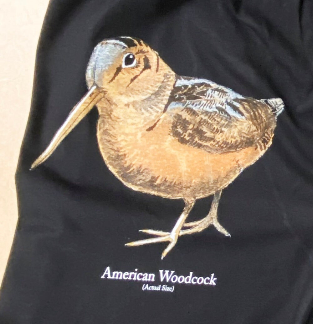 American Woodcock Boxers