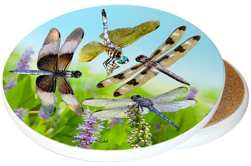 Lucky Dragonfly Sandstone Ceramic Coaster | Dragonfly Coaster | Image shows front and cork back