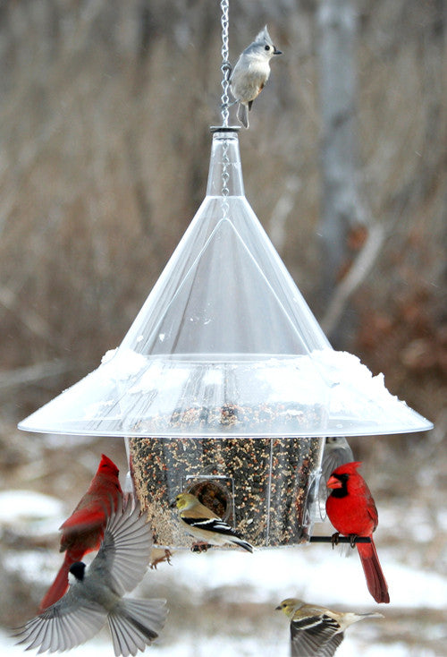 The BEST Mandarin Bird Feeder A la Carte - includes dividers.
American Made Bird Feeder