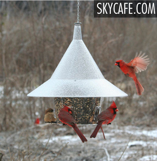 The BEST Cardinal Squirrel Proof Mandarin Birder Feeder
American Made Bird Feeder