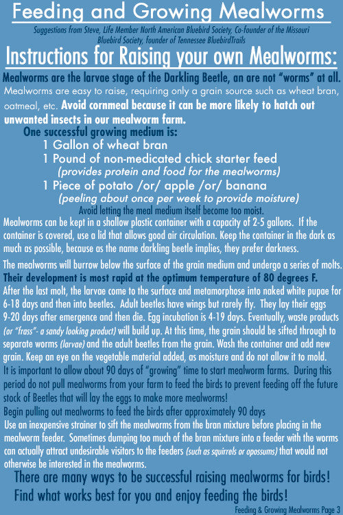 Mealworm Care Instructions Page 3