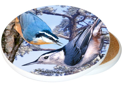 Nuthatch Sandstone Ceramic Coaster | Image shows front and cork back