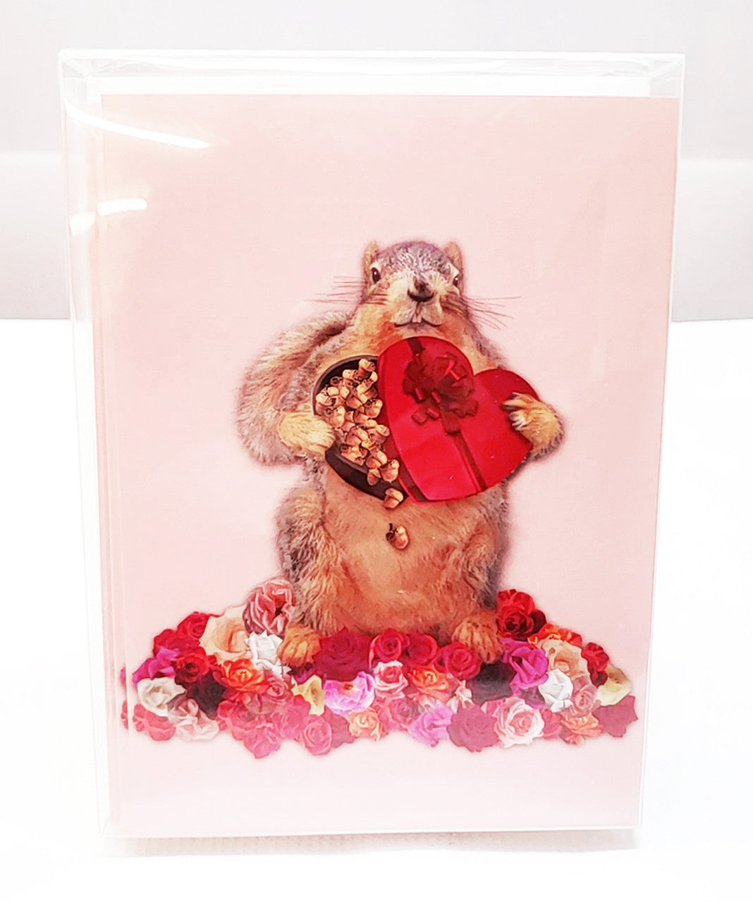 Nuts about Valentine's Day! Image is a pink card with a fuzzy squirrel holding a red heart-shaped box of chocolates surrounded by white, pink, & red roses.
Card reads: I'm nuts about you. Happy Valentine's Day.